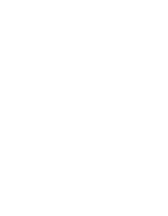 Preslav dark mode logo 